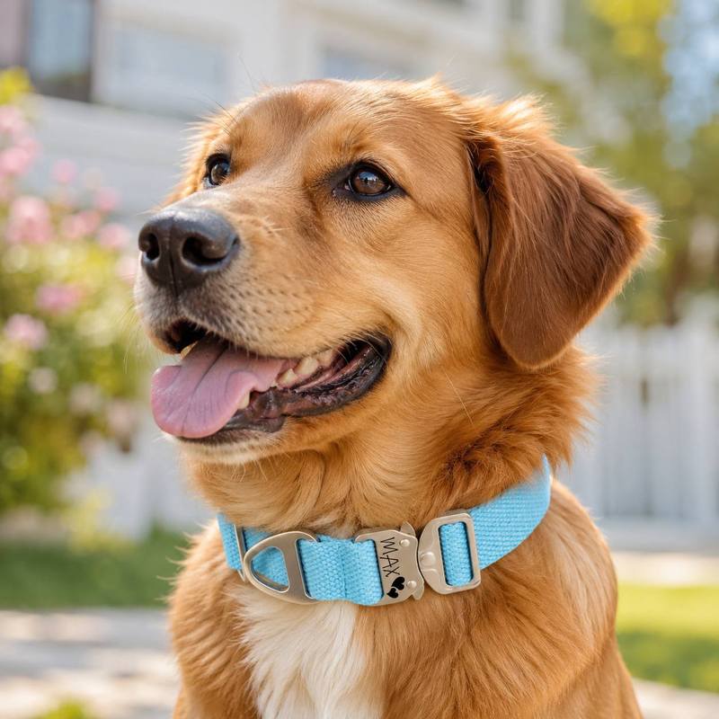 Collier tactique personnalisé  - Outdoor Adventure Names avis et prix